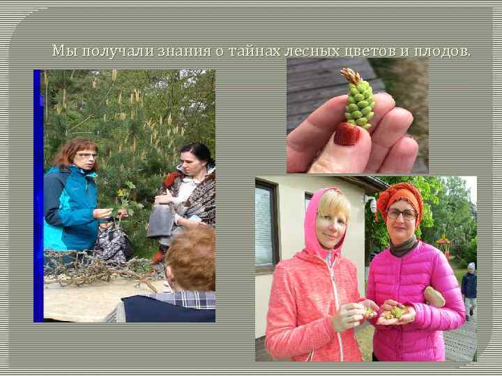 Мы получали знания о тайнах лесных цветов и плодов. 