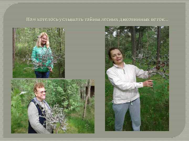Нам хотелось услышать тайны лесных диковинных веток… 