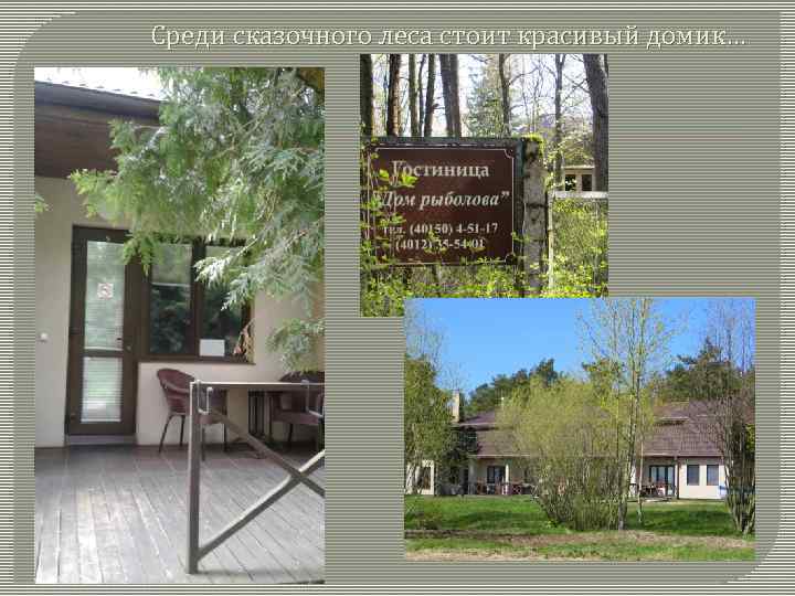 Среди сказочного леса стоит красивый домик… 