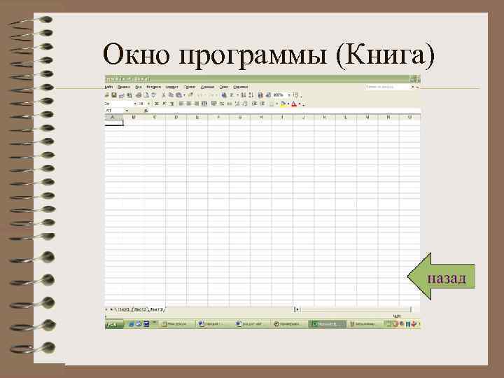 Окно программы (Книга) 