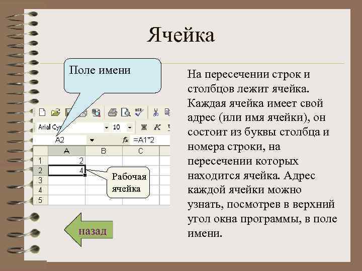Ячейка Поле имени Рабочая ячейка На пересечении строк и столбцов лежит ячейка. Каждая ячейка