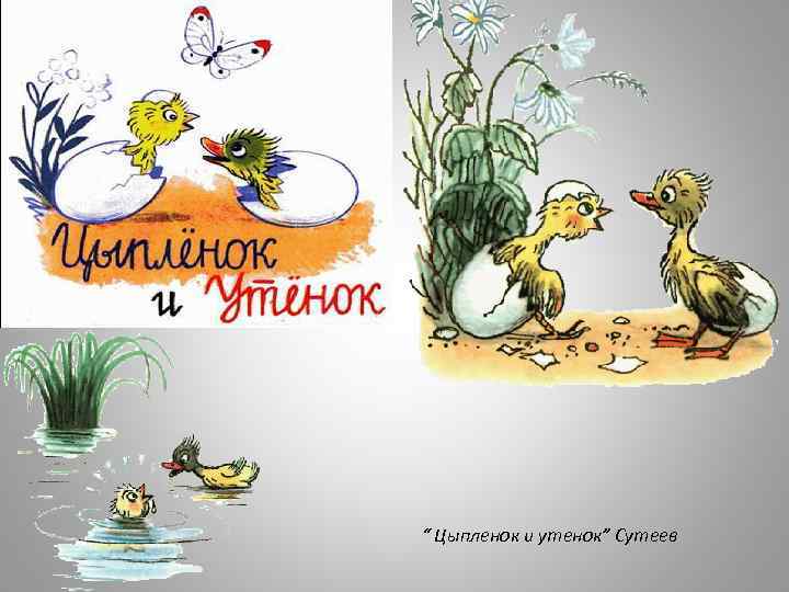 “ Цыпленок и утенок” Сутеев 