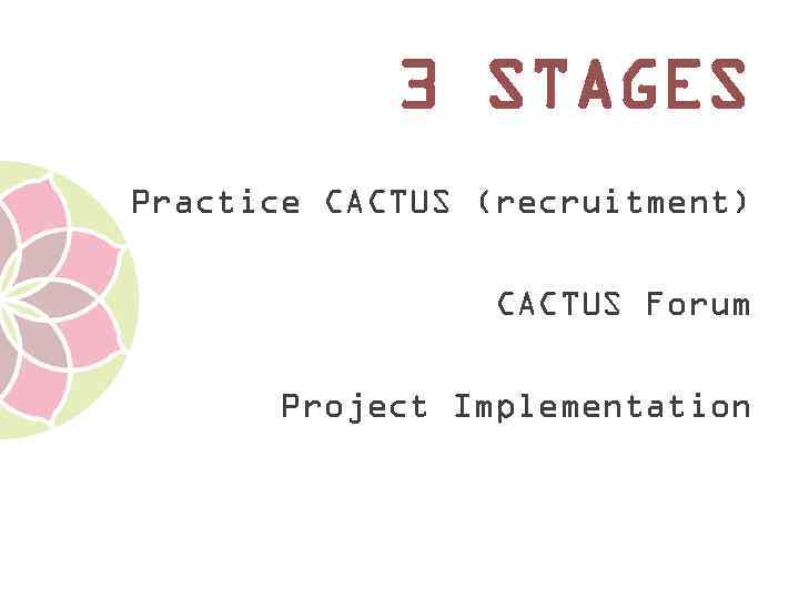 3 STAGES Practice CACTUS (recruitment) CACTUS Forum Project Implementation 