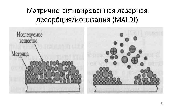 Матрично-активированная лазерная десорбция/ионизация (MALDI) 11 