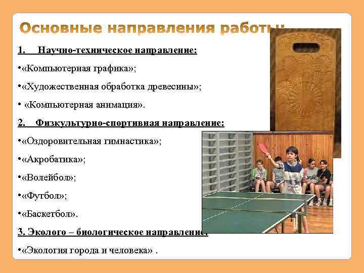 1. Научно-техническое направление: • «Компьютерная графика» ; • «Художественная обработка древесины» ; • «Компьютерная
