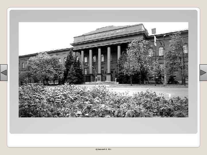 © Жаріков В. В. 2011 