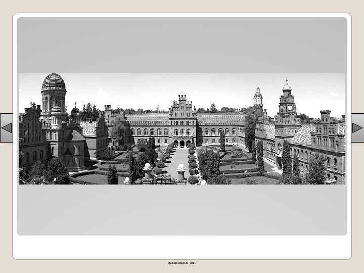 © Жаріков В. В. 2011 