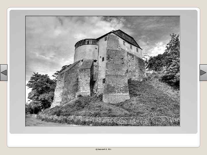 © Жаріков В. В. 2011 