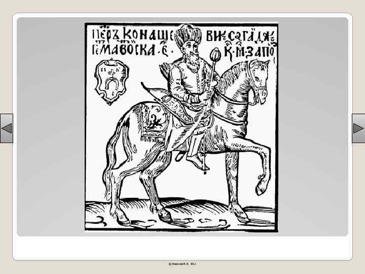 © Жаріков В. В. 2011 