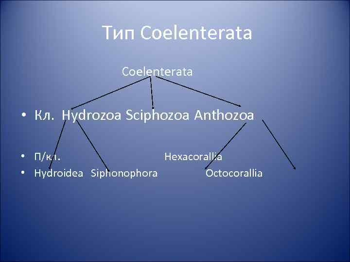 Тип Coelenterata • Кл. Hydrozoa Sciphozoa Anthozoa • П/кл. Hexacorallia • Hydroidea Siphonophora Octocorallia