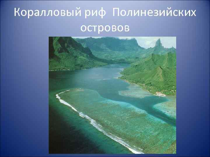 Коралловый риф Полинезийских островов 