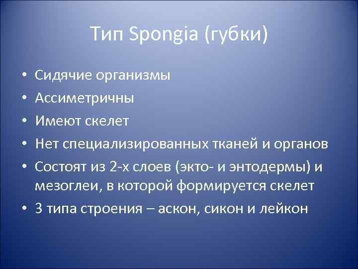 Тип Spongia (губки) Сидячие организмы Ассиметричны Имеют скелет Нет специализированных тканей и органов Состоят