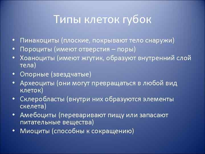 Типы клеток губок • Пинакоциты (плоские, покрывают тело снаружи) • Пороциты (имеют отверстия –