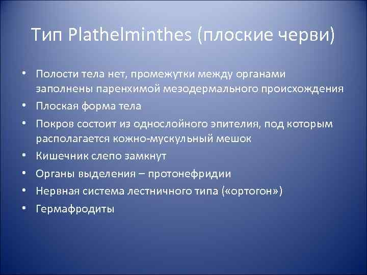 Тип Plathelminthes (плоские черви) • Полости тела нет, промежутки между органами заполнены паренхимой мезодермального