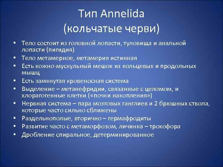 Тип Annelida (кольчатые черви) • Тело состоит из головной лопасти, туловища и анальной лопасти