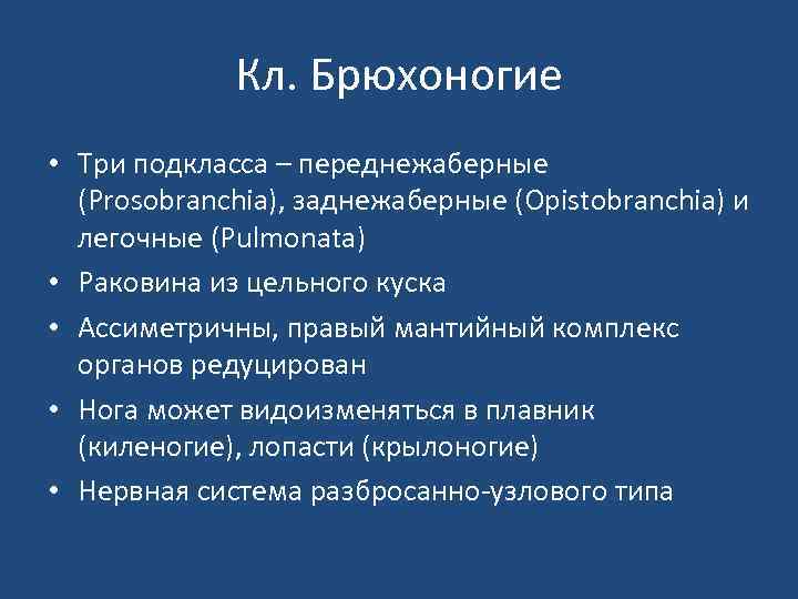 Кл. Брюхоногие • Три подкласса – переднежаберные (Prosobranchia), заднежаберные (Opistobranchia) и легочные (Pulmonata) •
