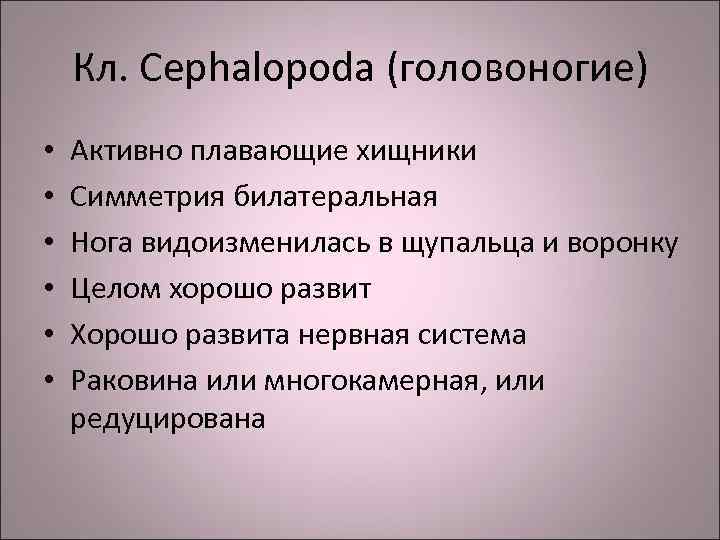 Кл. Cephalopoda (головоногие) • • • Активно плавающие хищники Симметрия билатеральная Нога видоизменилась в