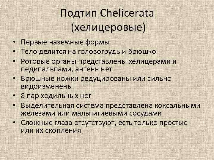 Подтип Chelicerata (хелицеровые) • Первые наземные формы • Тело делится на головогрудь и брюшко