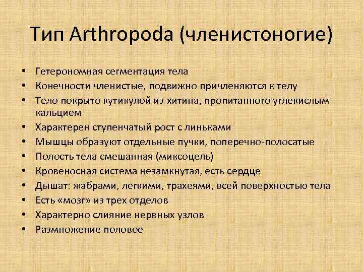 Тип Arthropoda (членистоногие) • Гетерономная сегментация тела • Конечности членистые, подвижно причленяются к телу