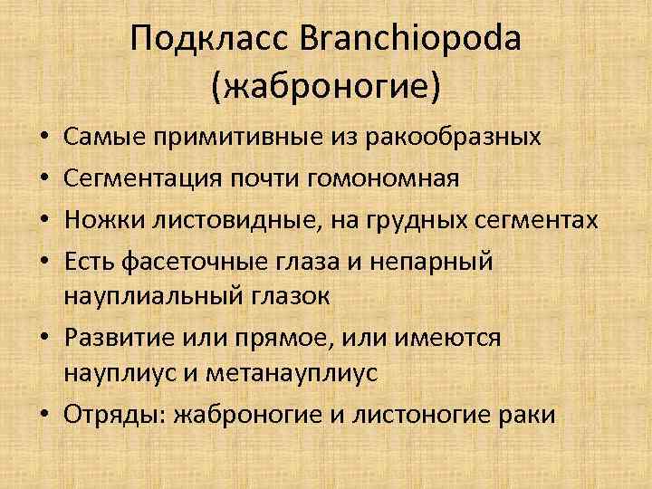 Подкласс Branchiopoda (жаброногие) Самые примитивные из ракообразных Сегментация почти гомономная Ножки листовидные, на грудных