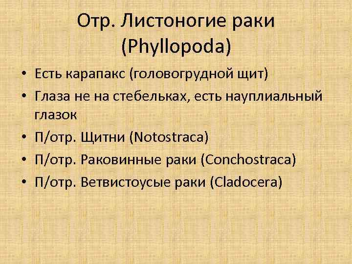 Отр. Листоногие раки (Phyllopoda) • Есть карапакс (головогрудной щит) • Глаза не на стебельках,