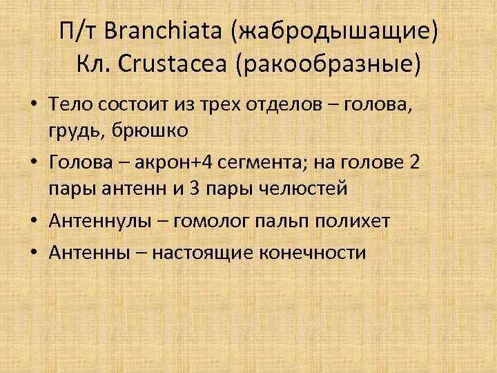 П/т Branchiata (жабродышащие) Кл. Crustacea (ракообразные) • Тело состоит из трех отделов – голова,