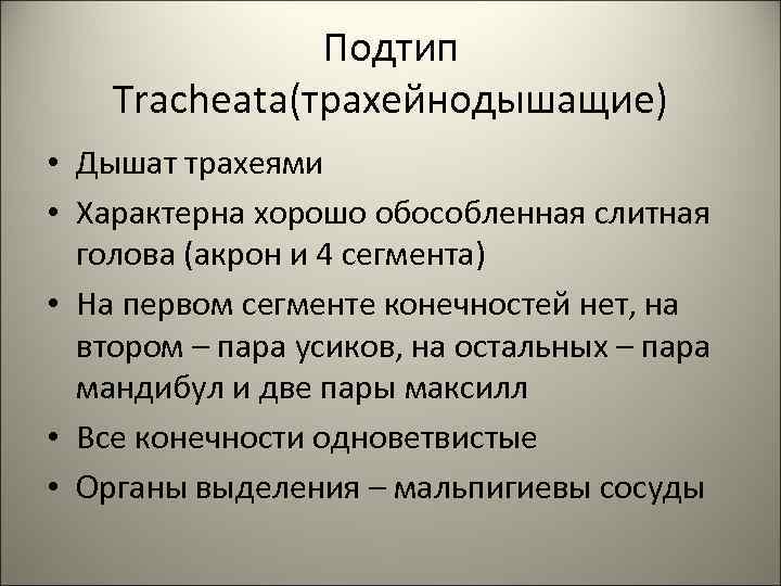 Подтип Tracheata(трахейнодышащие) • Дышат трахеями • Характерна хорошо обособленная слитная голова (акрон и 4