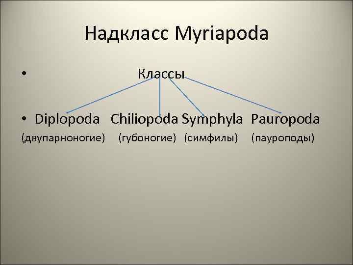 Надкласс Myriapoda • Классы • Diplopoda Chiliopoda Symphyla Pauropoda (двупарноногие) (губоногие) (симфилы) (пауроподы) 