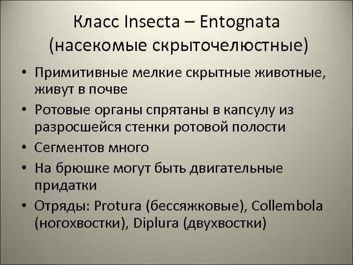 Класс Insecta – Entognata (насекомые скрыточелюстные) • Примитивные мелкие скрытные животные, живут в почве