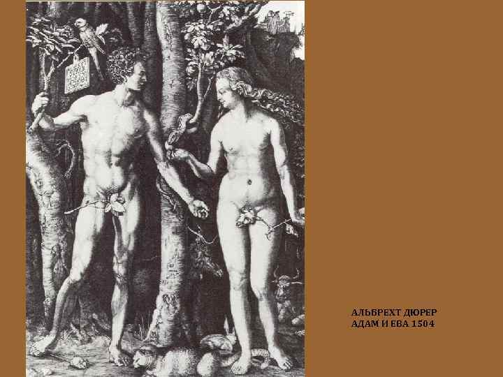 АЛЬБРЕХТ ДЮРЕР АДАМ И ЕВА 1504 