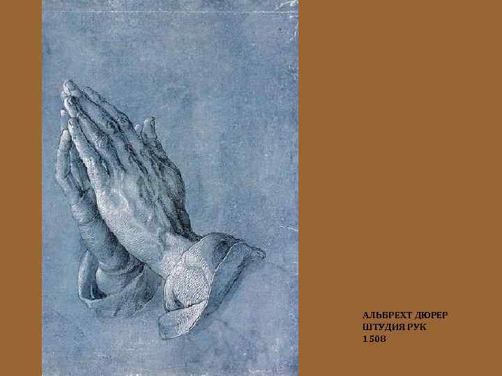 АЛЬБРЕХТ ДЮРЕР ШТУДИЯ РУК 1508 