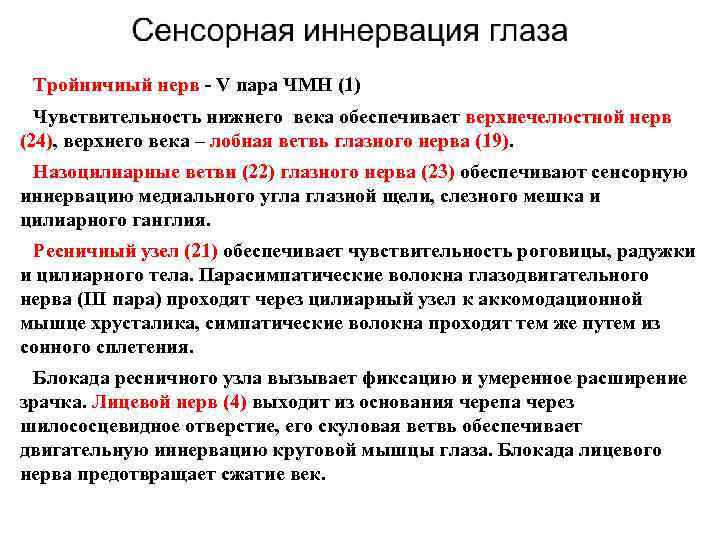 Тройничный нерв - V пара ЧМН (1) Чувствительность нижнего века обеспечивает верхнечелюстной нерв (24),