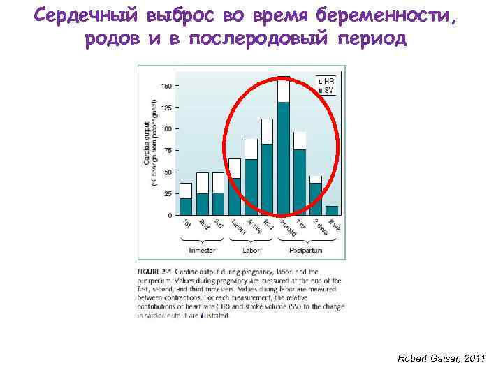 Сердечный выброс во время беременности, родов и в послеродовый период Robert Gaiser, 2011 