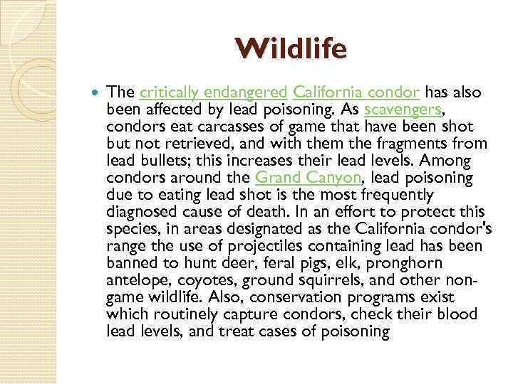 Wildlife The critically endangered California condor has also been affected by lead poisoning. As