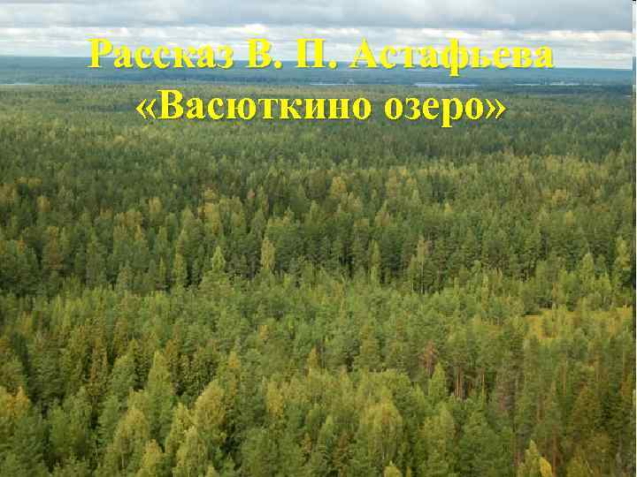 Рассказ В. П. Астафьева «Васюткино озеро» 