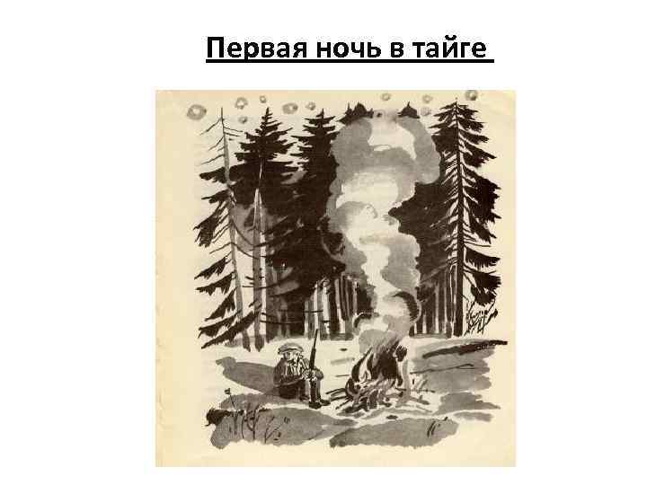Первая ночь в тайге 
