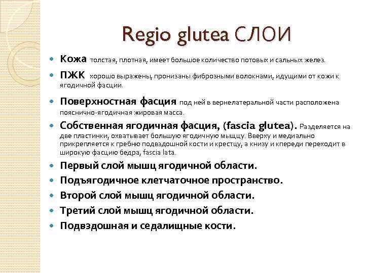 Regio glutea СЛОИ Кожа толстая, плотная, имеет большое количество потовых и сальных желез. ПЖК