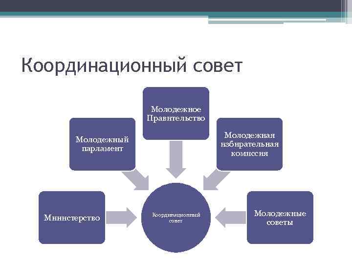 Координационный совет Молодежное Правительство Молодежная избирательная комиссия Молодежный парламент Министерство Координационный совет Молодежные советы