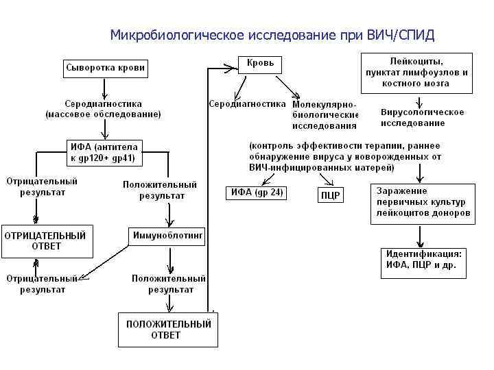 Микробиологическое исследование при ВИЧ/СПИД 