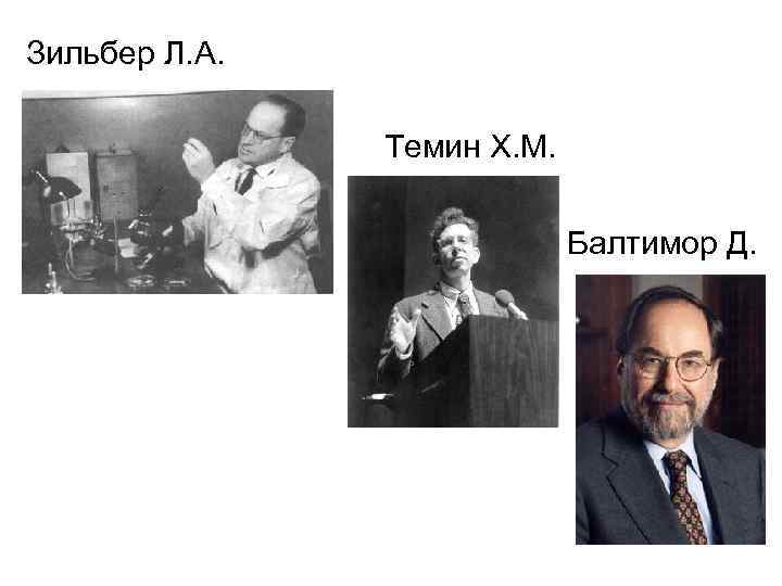 Зильбер Л. А. Темин Х. М. Балтимор Д. 
