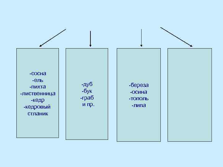 -сосна -ель -пихта -лиственница -кедровый стланик -дуб -бук -граб и пр. -береза -осина -тополь