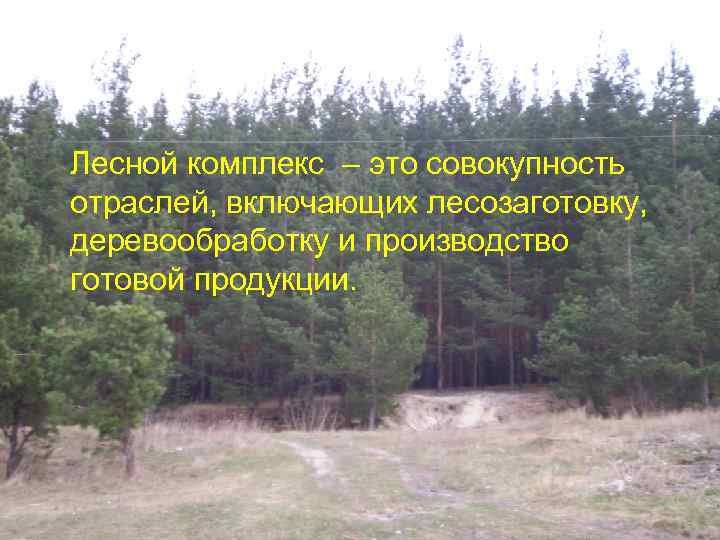 Лесной комплекс – это совокупность отраслей, включающих лесозаготовку, деревообработку и производство готовой продукции. 