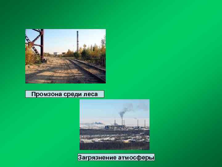 Промзона среди леса Загрязнение атмосферы 