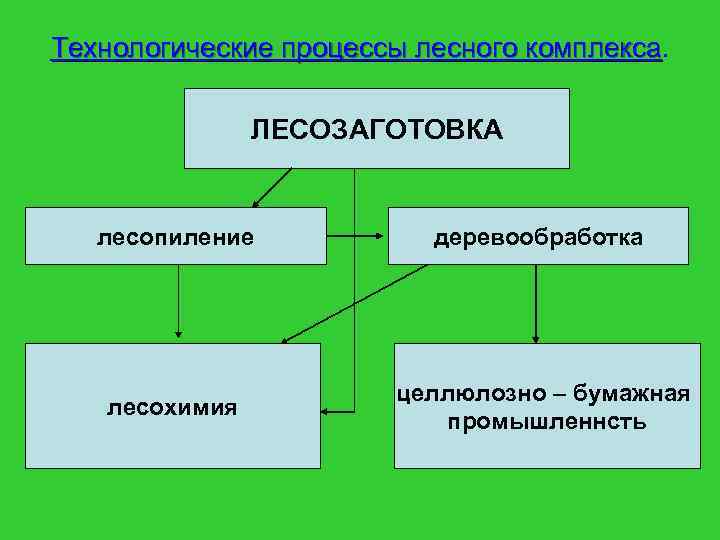 Технологические процессы лесного комплекса ЛЕСОЗАГОТОВКА лесопиление деревообработка лесохимия целлюлозно – бумажная промышленнсть 