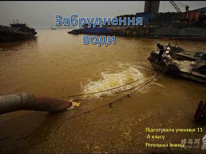 Забруднення води Підготувала учениця 11 -А класу Репецька Іванка 