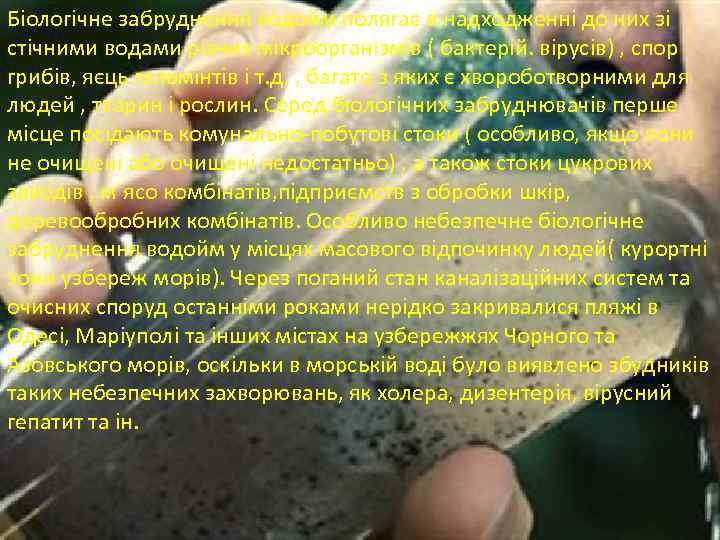 Біологічне забруднення водойм полягає в надходженні до них зі стічними водами різних мікроорганізмів (