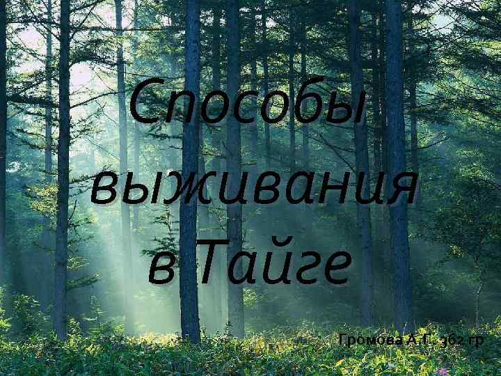Способы выживания в Тайге Громова А. Г. 362 гр 