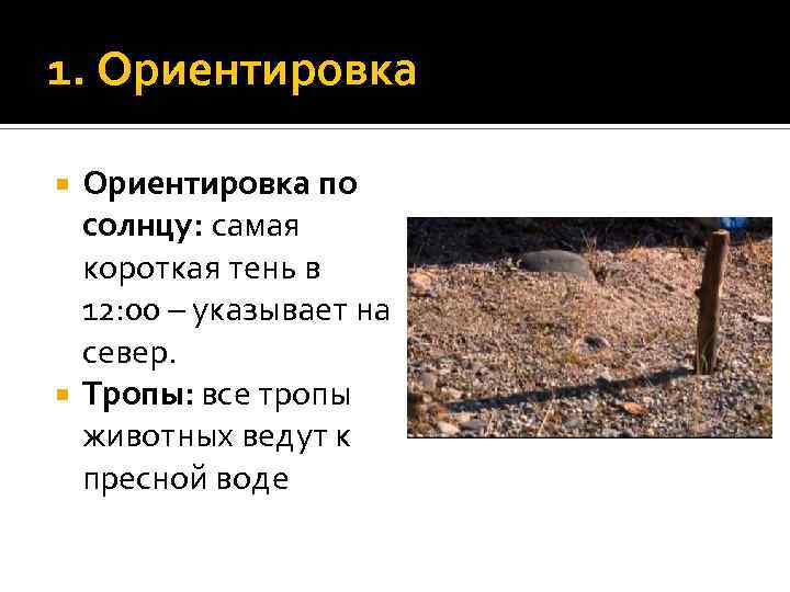 1. Ориентировка по солнцу: самая короткая тень в 12: 00 – указывает на север.