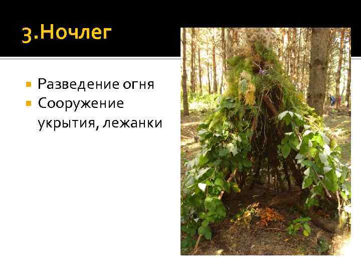 3. Ночлег Разведение огня Сооружение укрытия, лежанки 