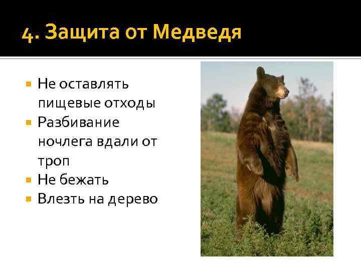 4. Защита от Медведя Не оставлять пищевые отходы Разбивание ночлега вдали от троп Не
